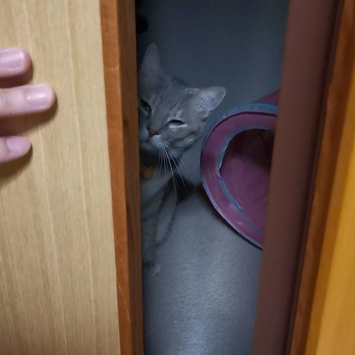 E00af2b2 b3d5 4f8f bc90 6ac23643c0c8 1606402266957