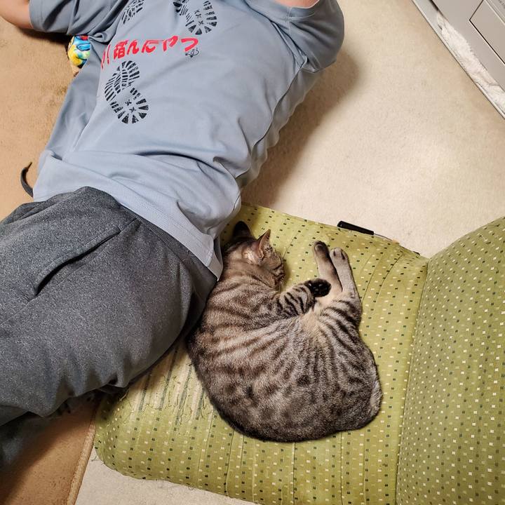 E00afb67 a40f 4290 a6a2 77c26d750b04 1722579614105