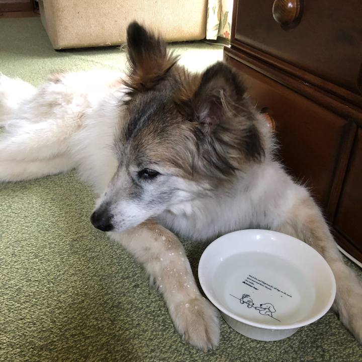 E00b0dcb 41ce 42db 880e 635941f57282 1530581842705