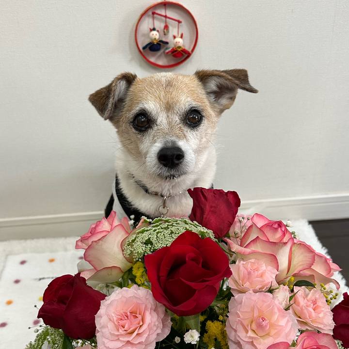 E00b4020 a896 4340 84c5 2450157c85b4 1677812164626