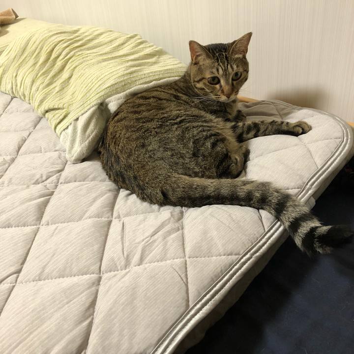 E00b6501 3462 4667 9460 4834f29d4d06 1533882912283