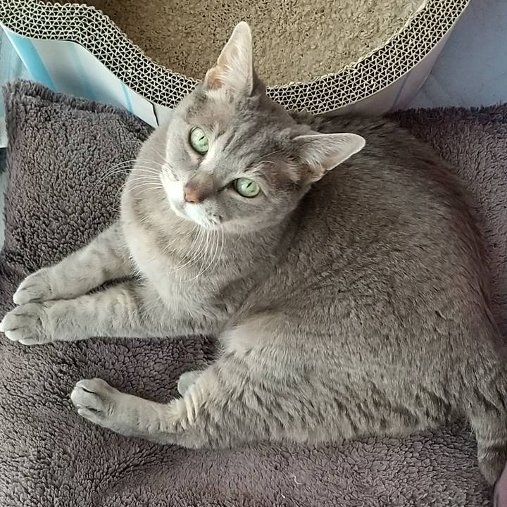 E00b9e51 4a76 4c3b 85c9 3aa57f24b670 1683360860941