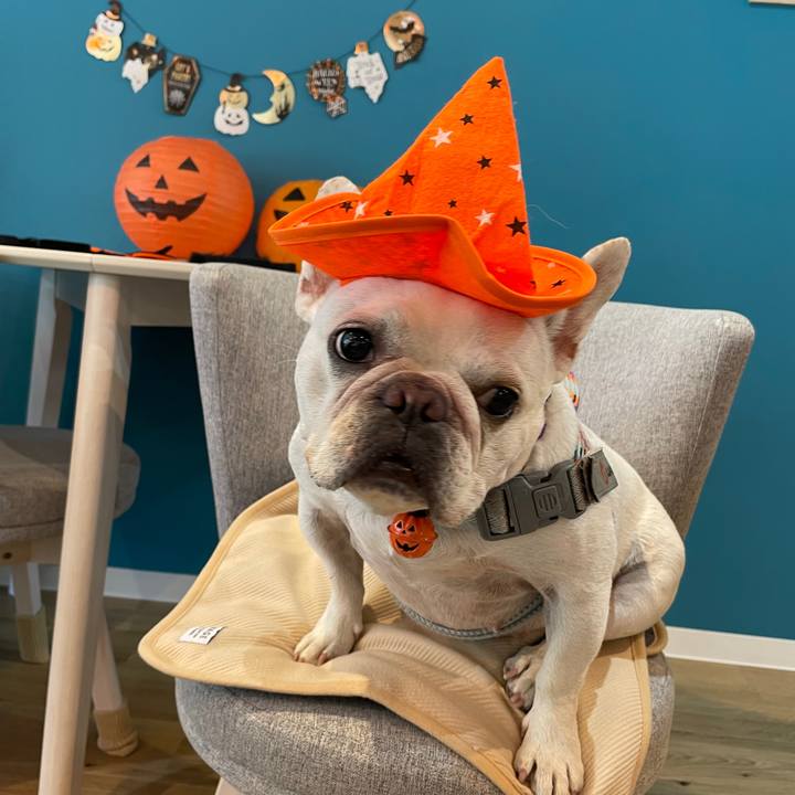 E00ba7e2 a34c 4039 adc9 9b03265e0785 1759790542508