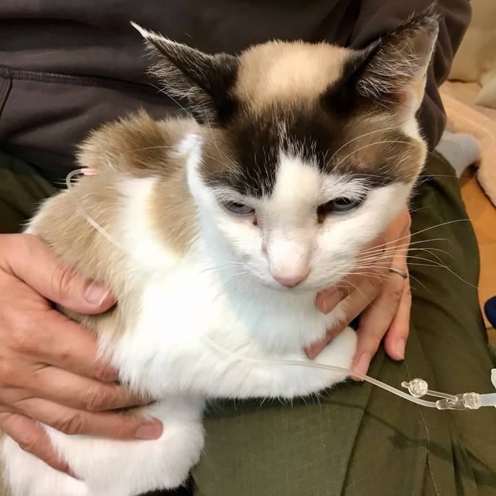 E00c5054 9364 42f4 b91a 325d355c5a68 1615858105074