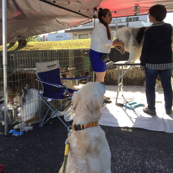 E00c8f04 847e 49a5 b33d 861b540987db 1539497942106