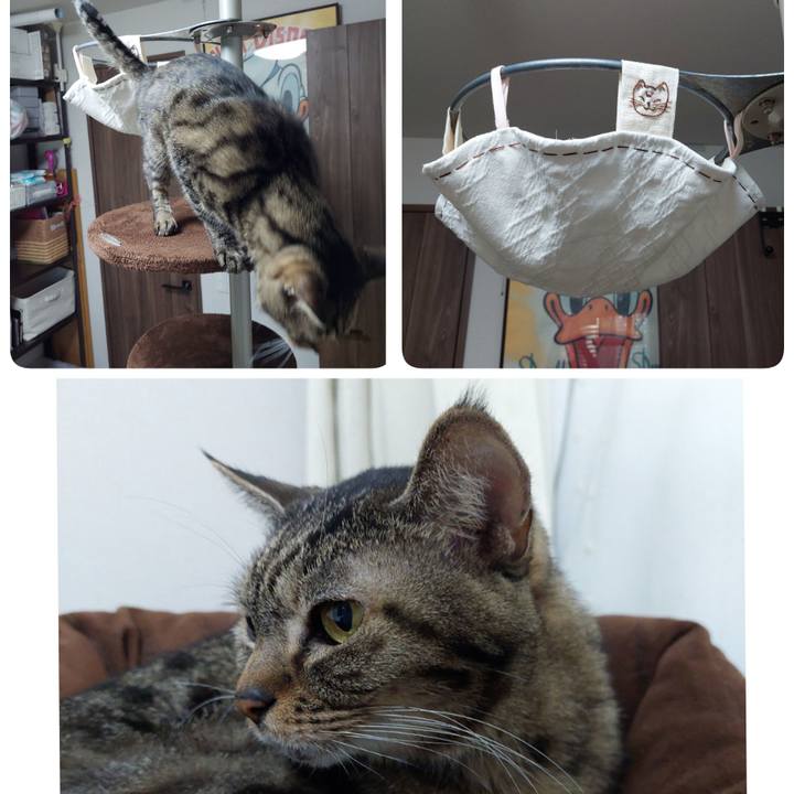 E00ca3fb b650 41ab b8ca 90ef66dfe0c7 1667172721731