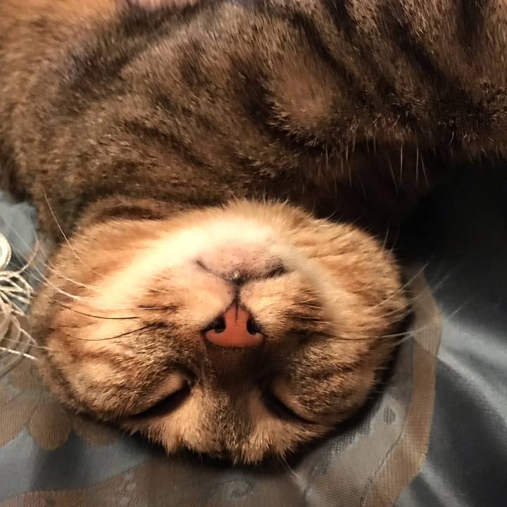 E00cb9b4 e10f 456e 88fb 06533a9b2ea9 1597364126986