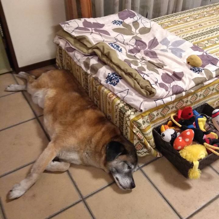 E00cec43 1d1e 479f b9ef 804908d1687d 1561818807023