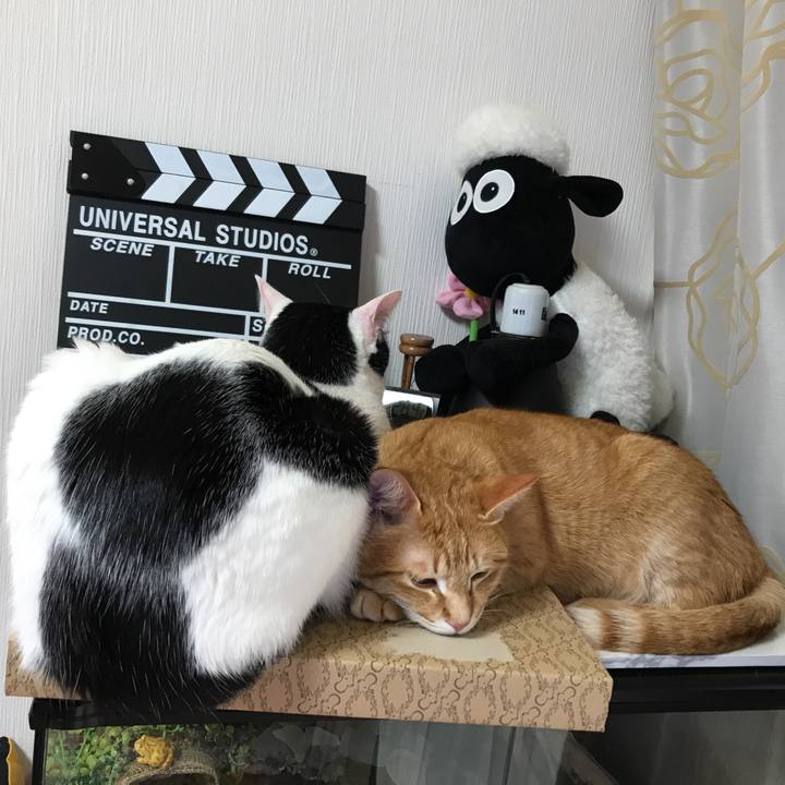 E00cf372 b8fb 4d76 ba74 fef444ad712b 1517552373986