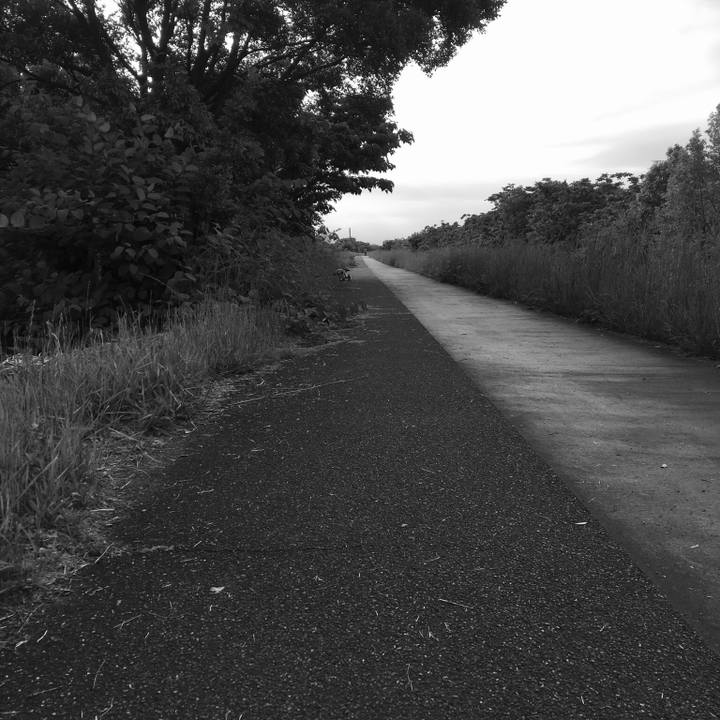 E00d2ea5 438d 46c2 b0d8 1baea289641a 1558514703220