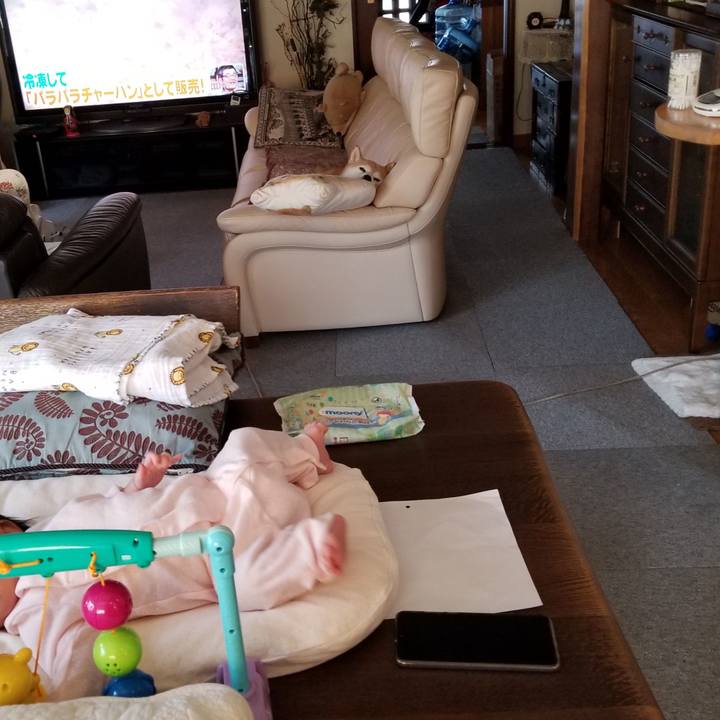 E00d390b eb3b 4f62 8ba7 76a3bb581315 1596322053045