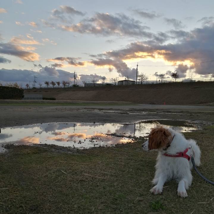 E00d4200 13c5 49e0 abe2 426aaf262080 1575373407664