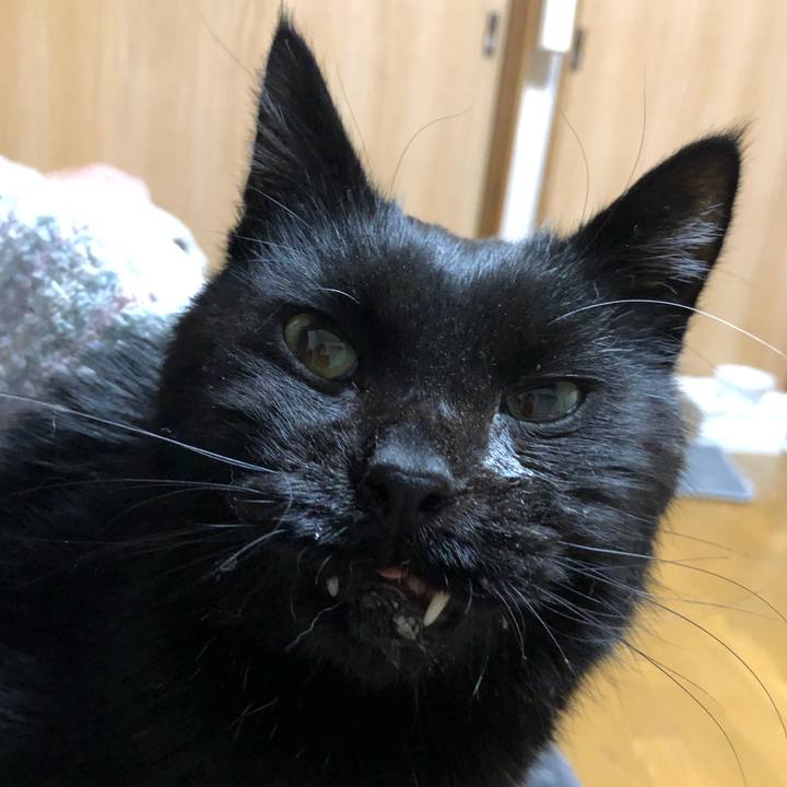 E00d73ea dff7 4483 bdbc 457bdce91d8b 1645448604547