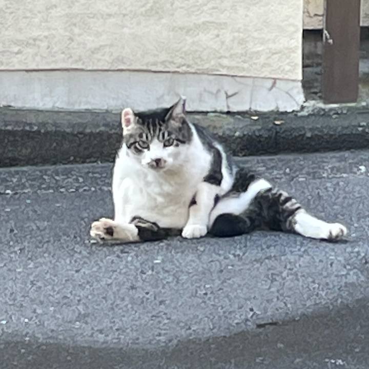 E00dc357 3e5d 406a a875 f0777054a9da 1632101441249