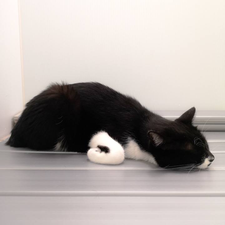 E00de24d b65d 4f73 aae9 5fb004b0fe4d 1544629861453