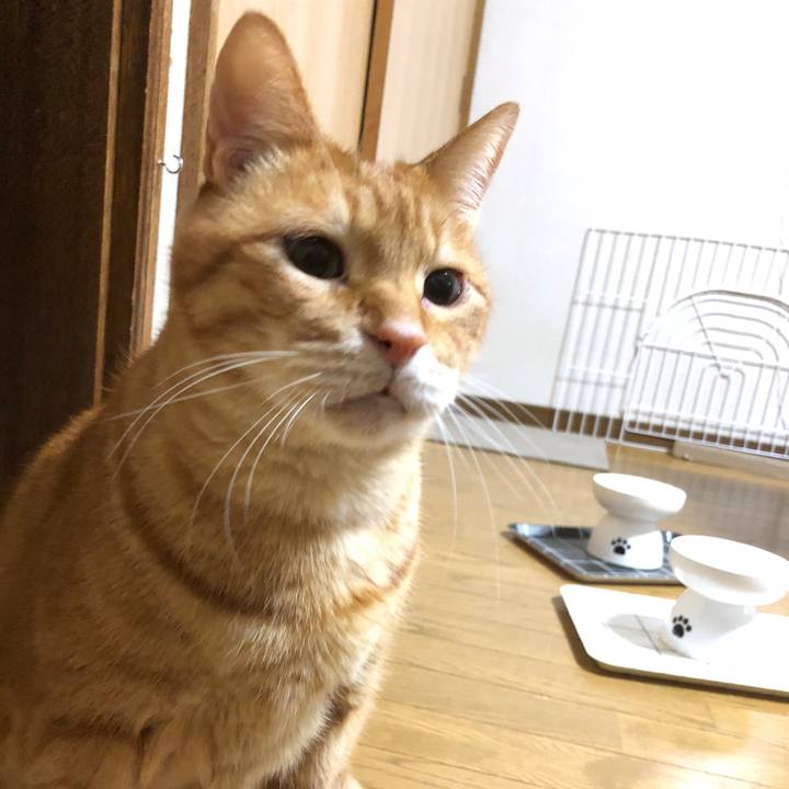 E00de9b1 407e 48ad a313 6d2cbd7e40f3 1733866134806