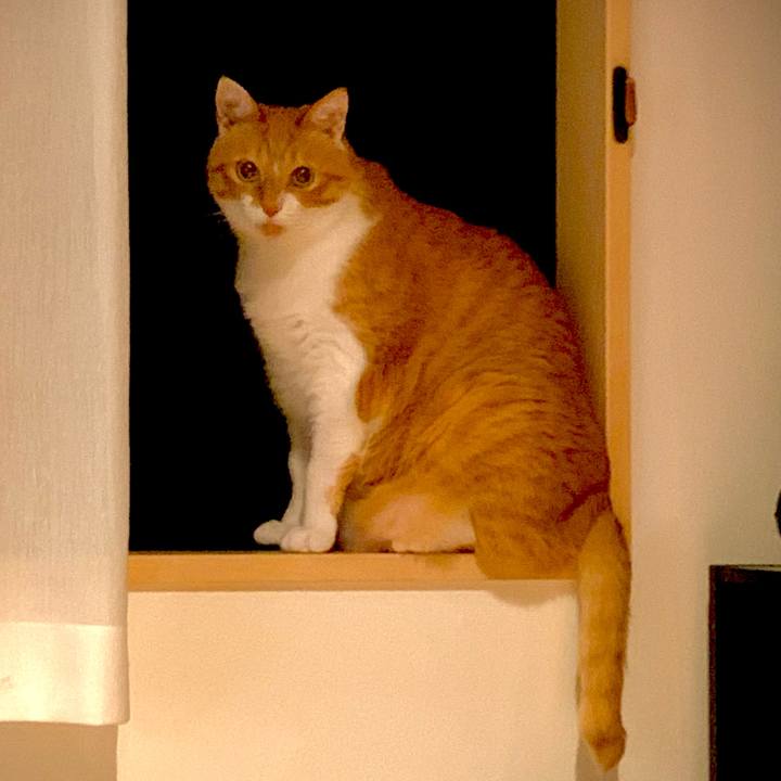 E00df7ee d6c7 4843 a7c0 704f5f4e6198 1686836464964