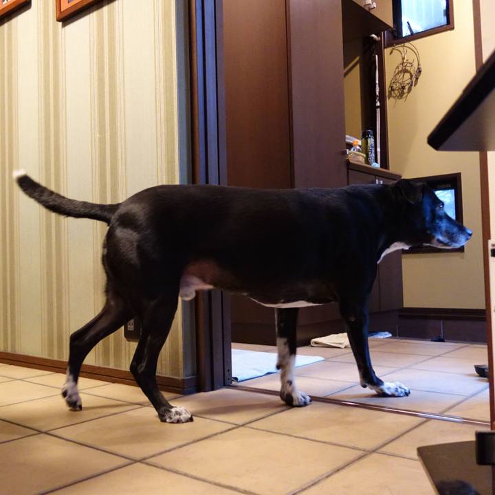 E00df98e 4d6d 41da 95ca 6bec1df916a4 1730163374446