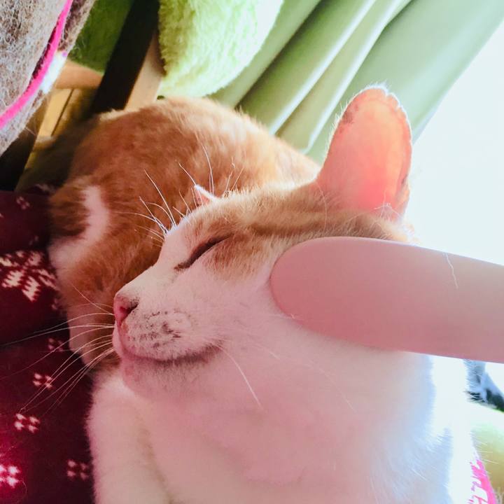 E00e1c25 283c 4b85 97e3 a918c0c6f2db 1564216362780