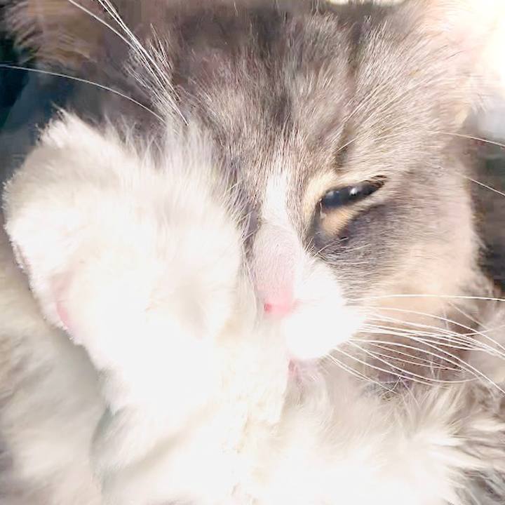 E00e2e43 e5c5 4088 8962 fecc06d3bffa 1596936348762