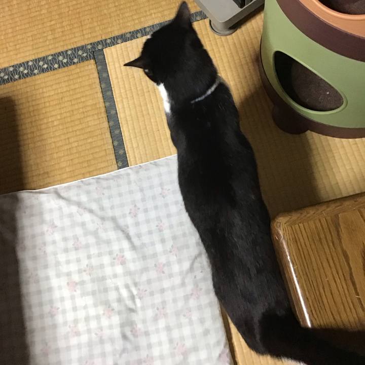 E00e44b6 60ca 4eef 9e15 21f14d9caacf 1690457799795