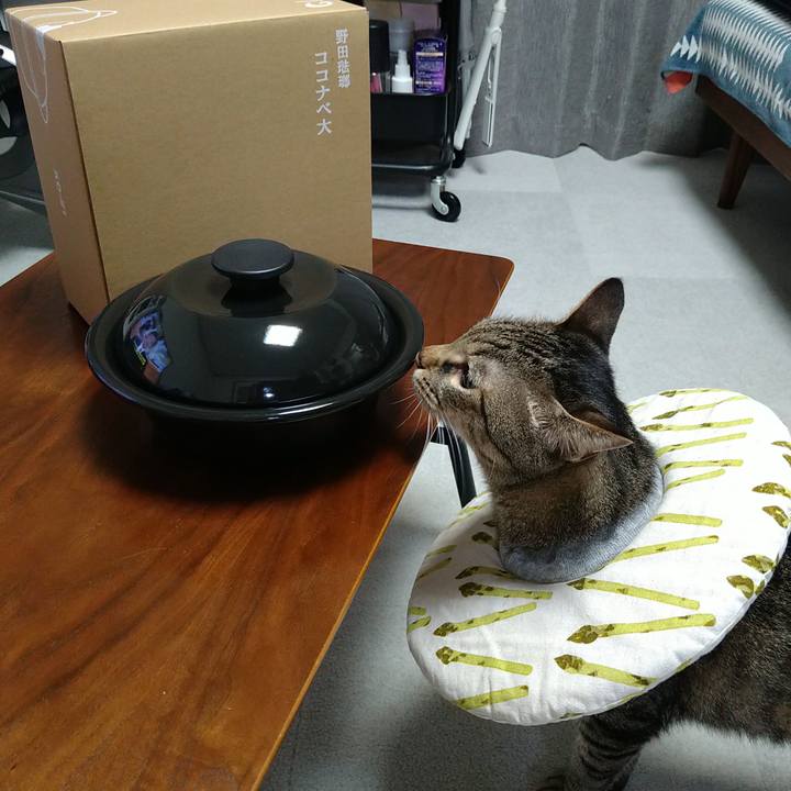 E00e74cb 7a37 43e5 8697 4f7e8b7ad3dc 1725613990986