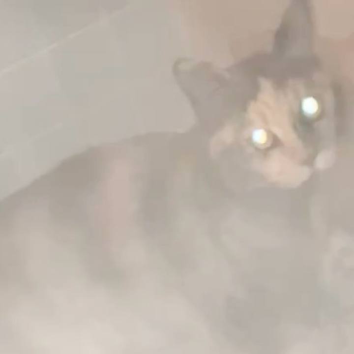 E00e95c9 5ba3 4006 96bb 0a5531cd11eb 1735331451564