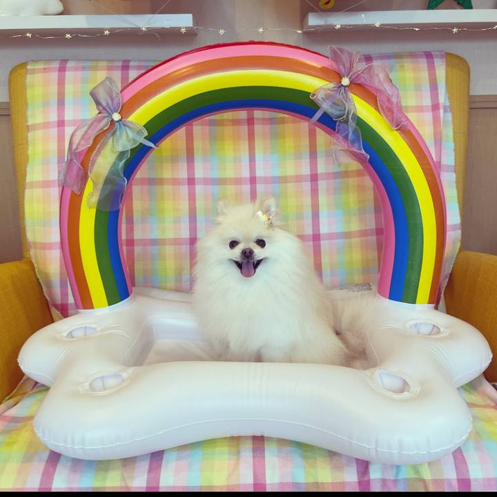 E00e9dda e321 4dee a66b 7e5da0774b42 1694149649526