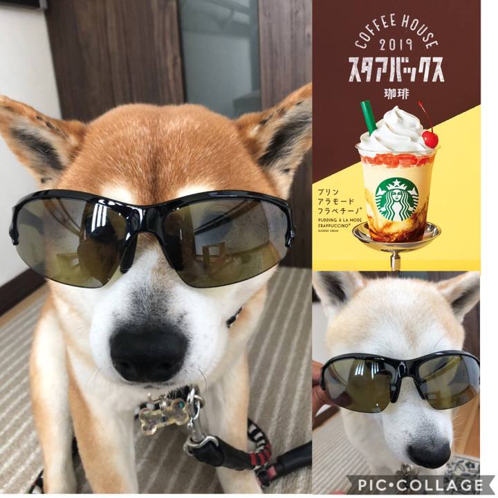 E00ea243 a413 4617 8c56 6a874e02e303 1557891429881