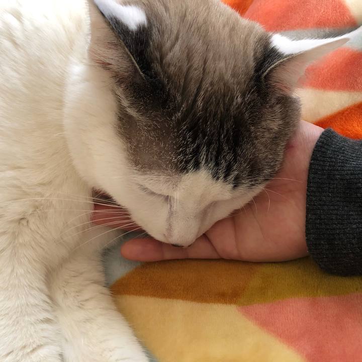 E00ea618 2b35 42bc 847b 70f5271b44c7 1642057004765