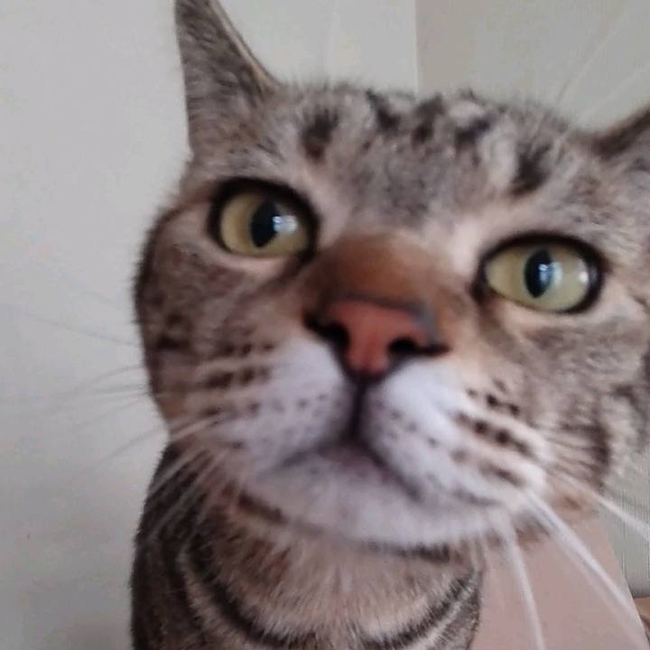 E00eda13 d8c3 4aef bb80 18c32a13b886 1708679375184