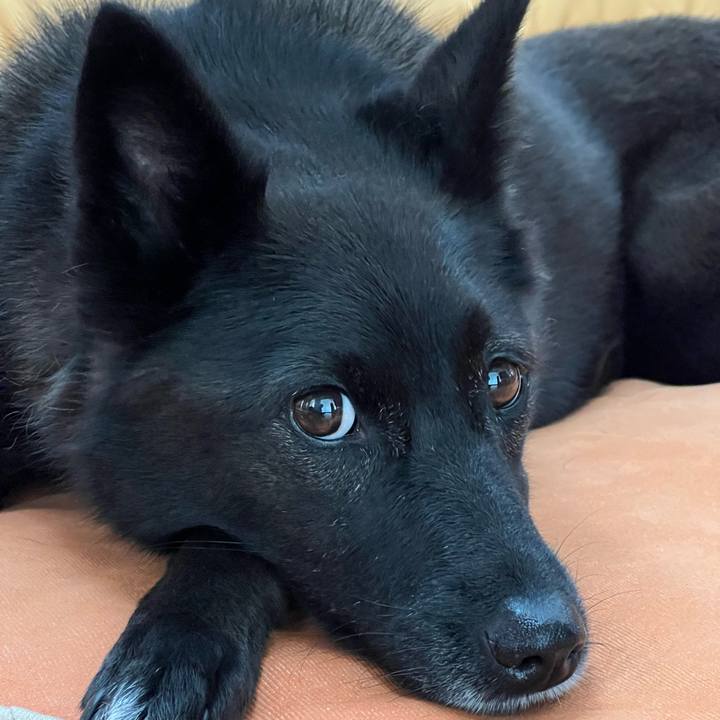 E00f2809 c4f7 4941 acd5 a3e8e5eb44eb 1693017337919