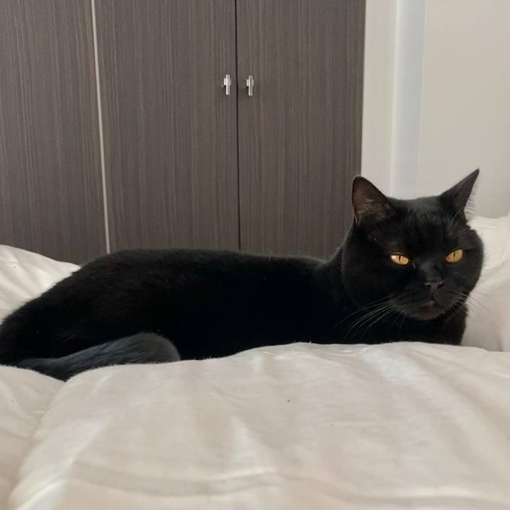 E00f47b9 f7cd 4a49 bf0f 28802b6b98cb 1641128753252