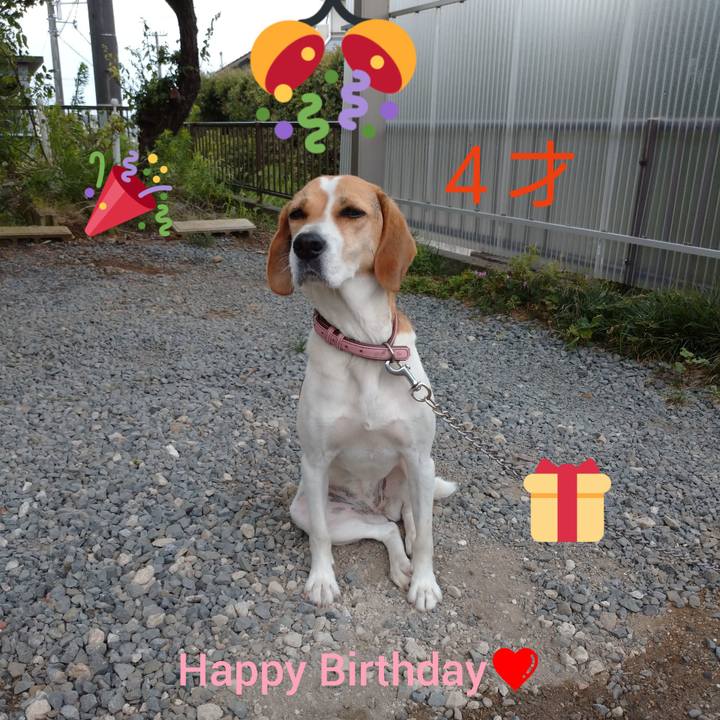 E00f5bc4 361c 4d2d b411 a929ea1bc65a 1594083712523