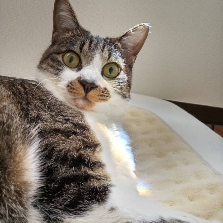 E00f8b88 7ba4 4880 9b46 f6f462649a0e 1769843205379