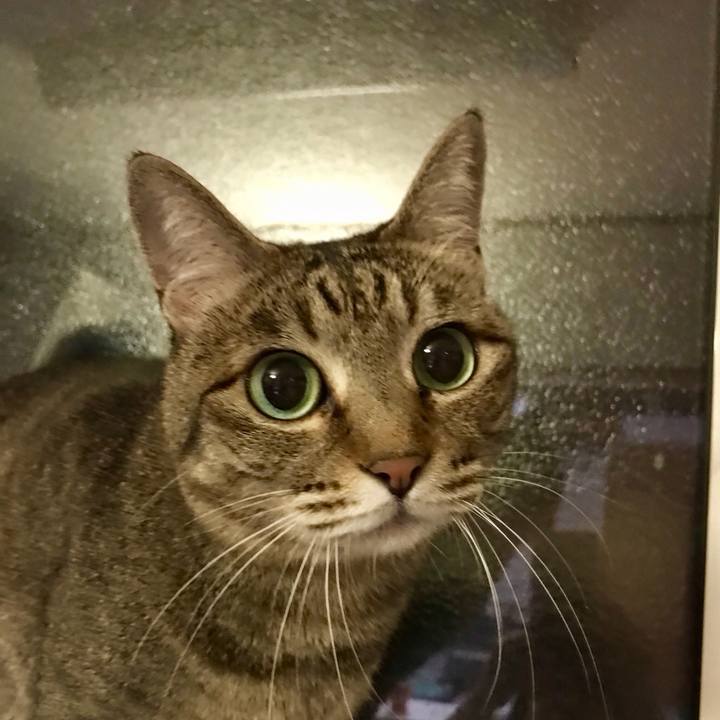 E010001c c865 4280 878a b3a8ff5dabc2 1558095255443