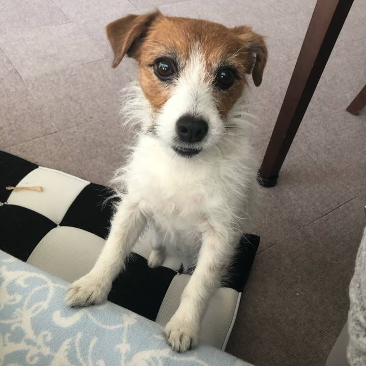 E0100d53 23f6 453a 98c5 11af980a07f3 1581408263802