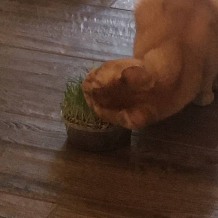 E01022f6 1333 4cca 8663 194a6b626c87 1660347901043