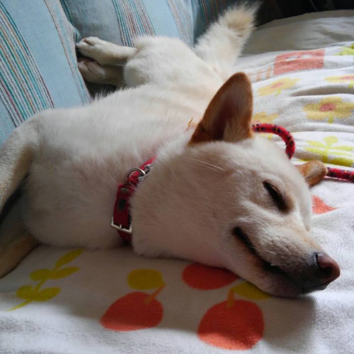 E0104ff1 6a54 49d1 9135 0f705e3ce02d 1525953552549