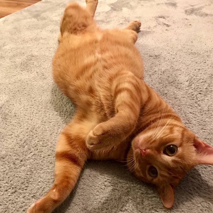 E0105623 095b 4f65 a891 e28836dd6d81 1603281477346