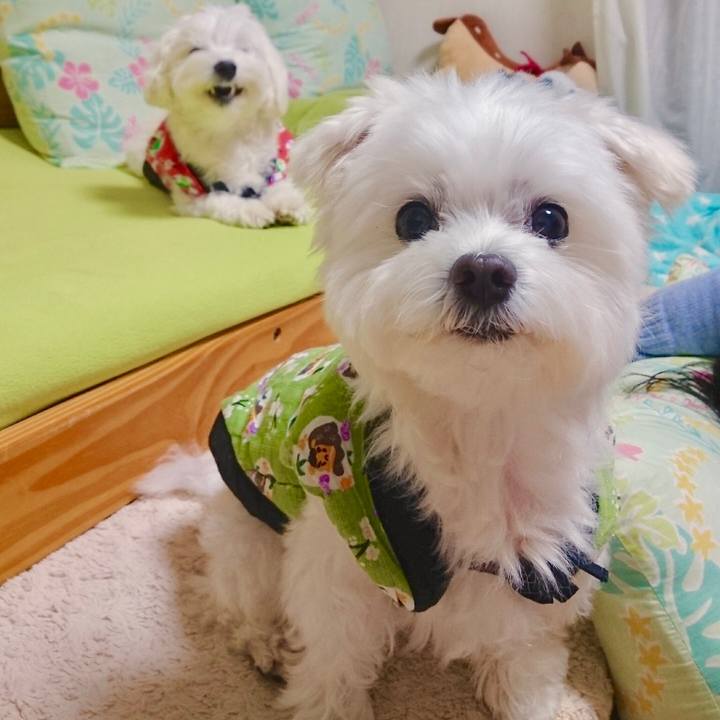 E0108fd1 9ac4 4cb3 a14d 1f0d81459977 1542757490982