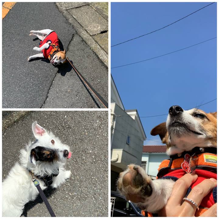 E01093d9 72e7 4eb0 8815 fc85dfc8b548 1596243048402