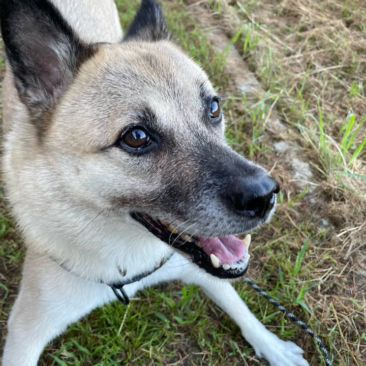 E010d902 78ee 4639 9cca 865759d216dc 1726661433240