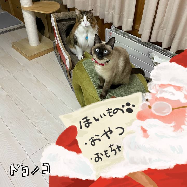 E010f267 2ccd 4f0f a442 76b0900e1515 1730533742902