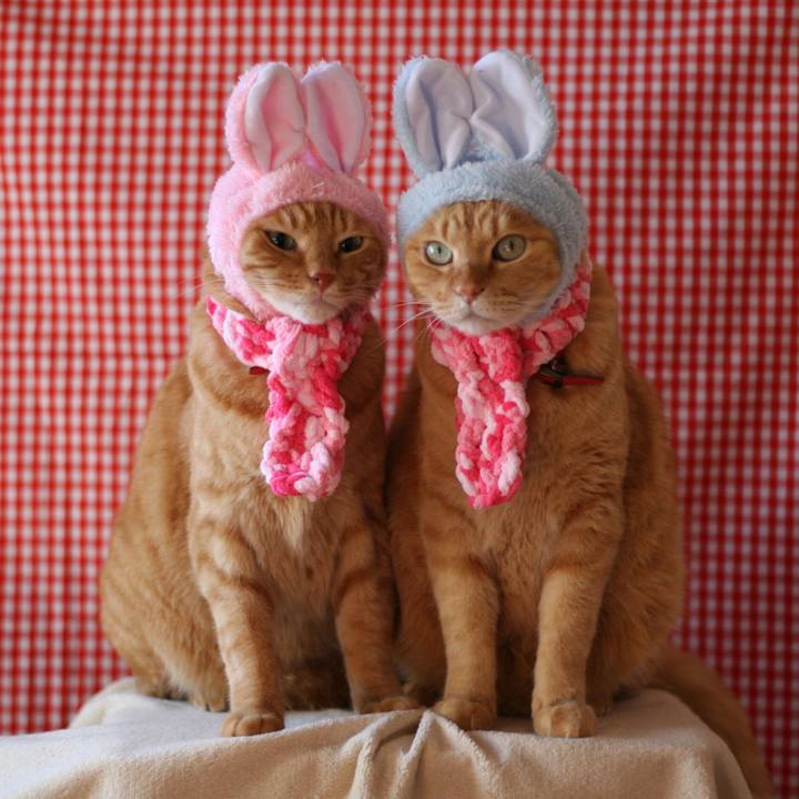 E0111d0a aa5d 49f4 b09b 9763e79d23b4 1513040543955