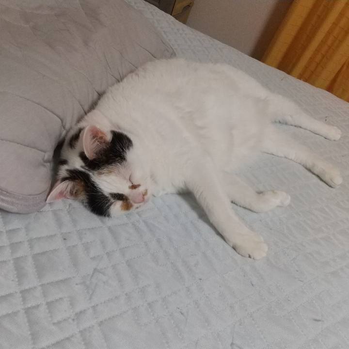 E01135d8 9a7e 477e 8b86 8c19d54b34b0 1627477006198