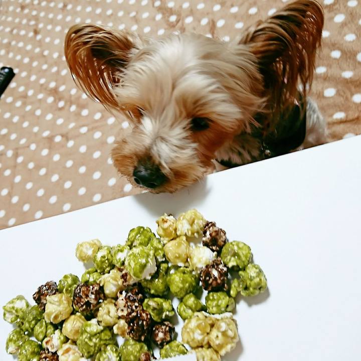 E01139a9 e80b 4c94 a120 73d382f9c37c 1517303215567