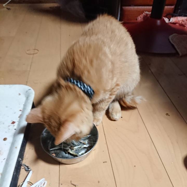 E0114fb0 ba16 4a0c b931 fa9aa946006b 1634414330246