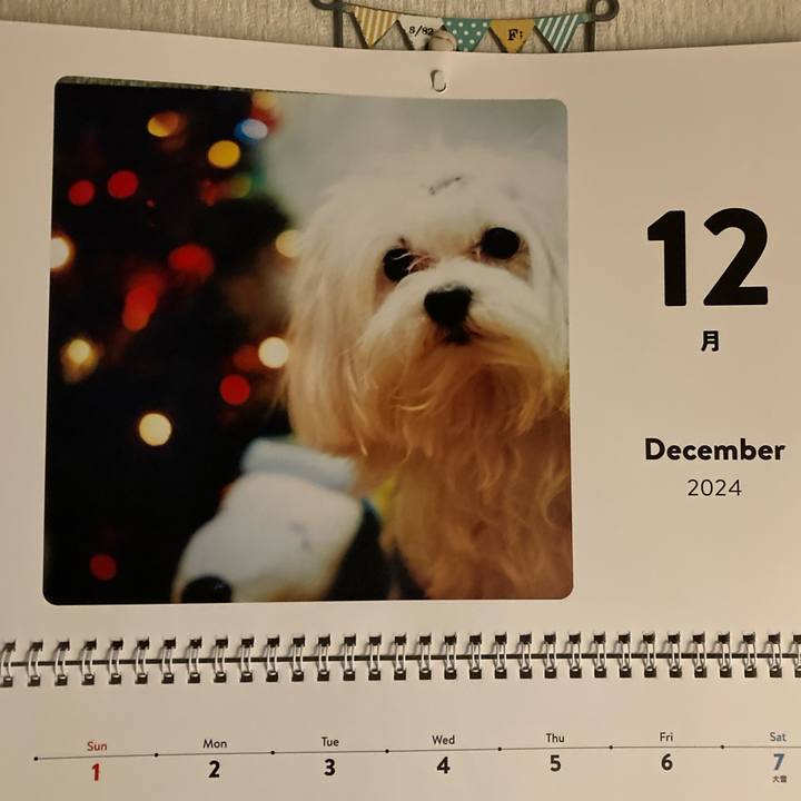 E0115d9a e4a8 4a50 8fde a5c35ff79039 1733240501648