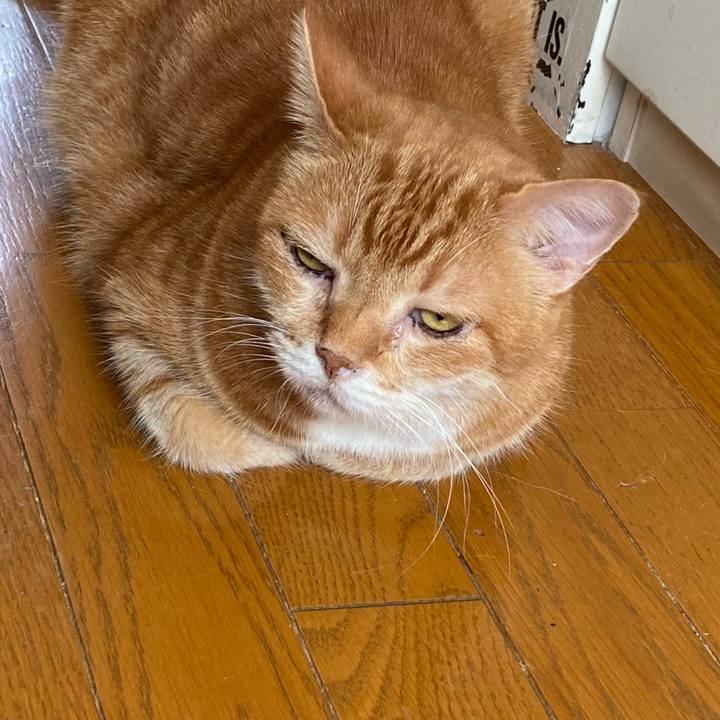 E011ac5e dccd 46ac 8347 c1f5ddbb3a64 1696031926254